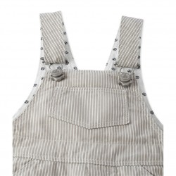 Baby boys' striped short dungarees